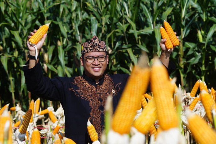 Wakil Menteri Pertanian, Sudaryono