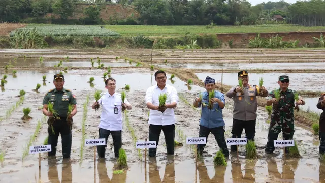Wakil Menteri Pertanian, Sudaryono saat meninjau percepatan tanam di Kabupaten Jepara, Jawa Tengah, Kamis, 3 Oktober 2024. (Foto: Istimewa)
