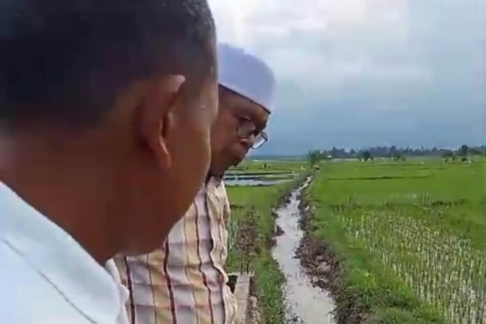 Tani Merdeka Pidiejpg Pengurus DPD Tani Merdeka Indonesia Kabupaten Pidie meninjau irigasi di Kecamatan Mutiara Timur, Kabupaten Pidie.