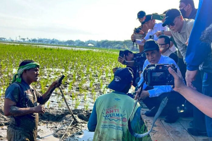 Menteri Pertanian (Mentan) Andi Amran Sulaiman berdialog dengan petani di Desa Pinto Makmur, Kecamatan Muara Batu, Aceh Utara, Aceh, Kamis (15/1/2026)